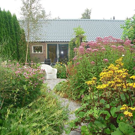Roing B&B Hijken Esterno foto