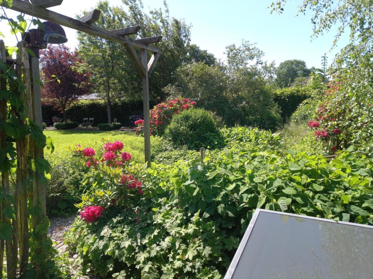 Roing B&B Hijken Esterno foto
