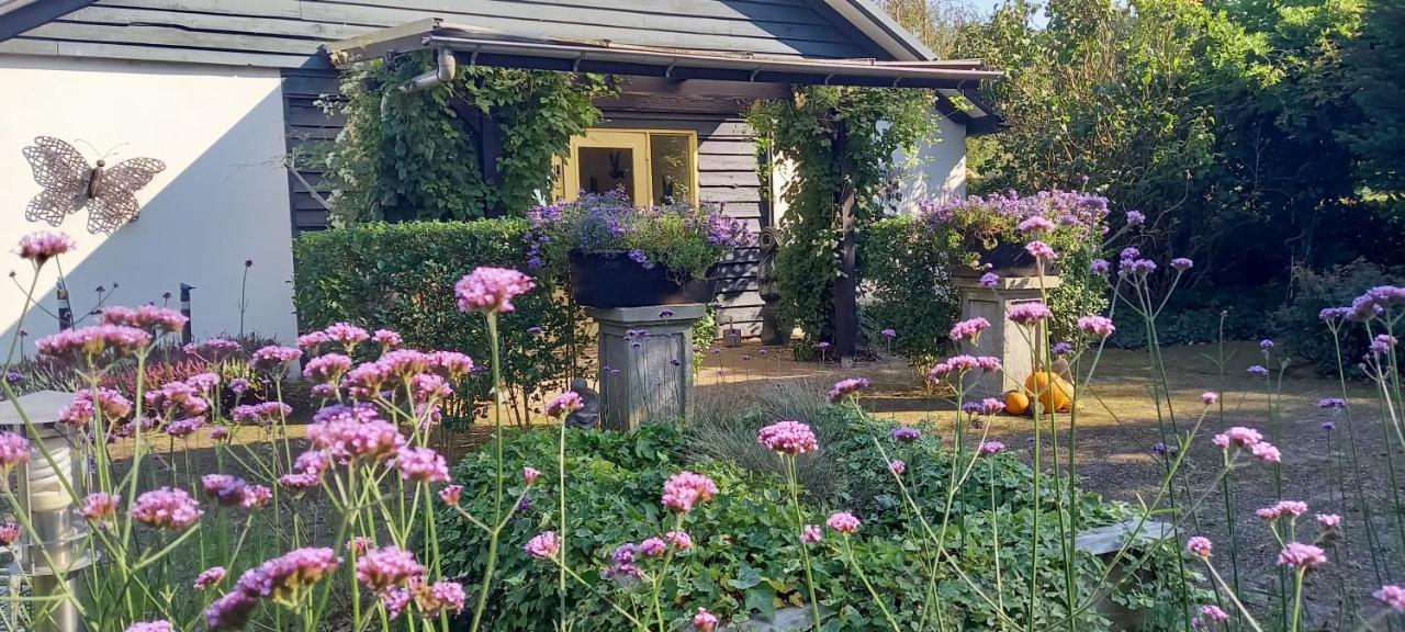 Roing B&B Hijken Esterno foto