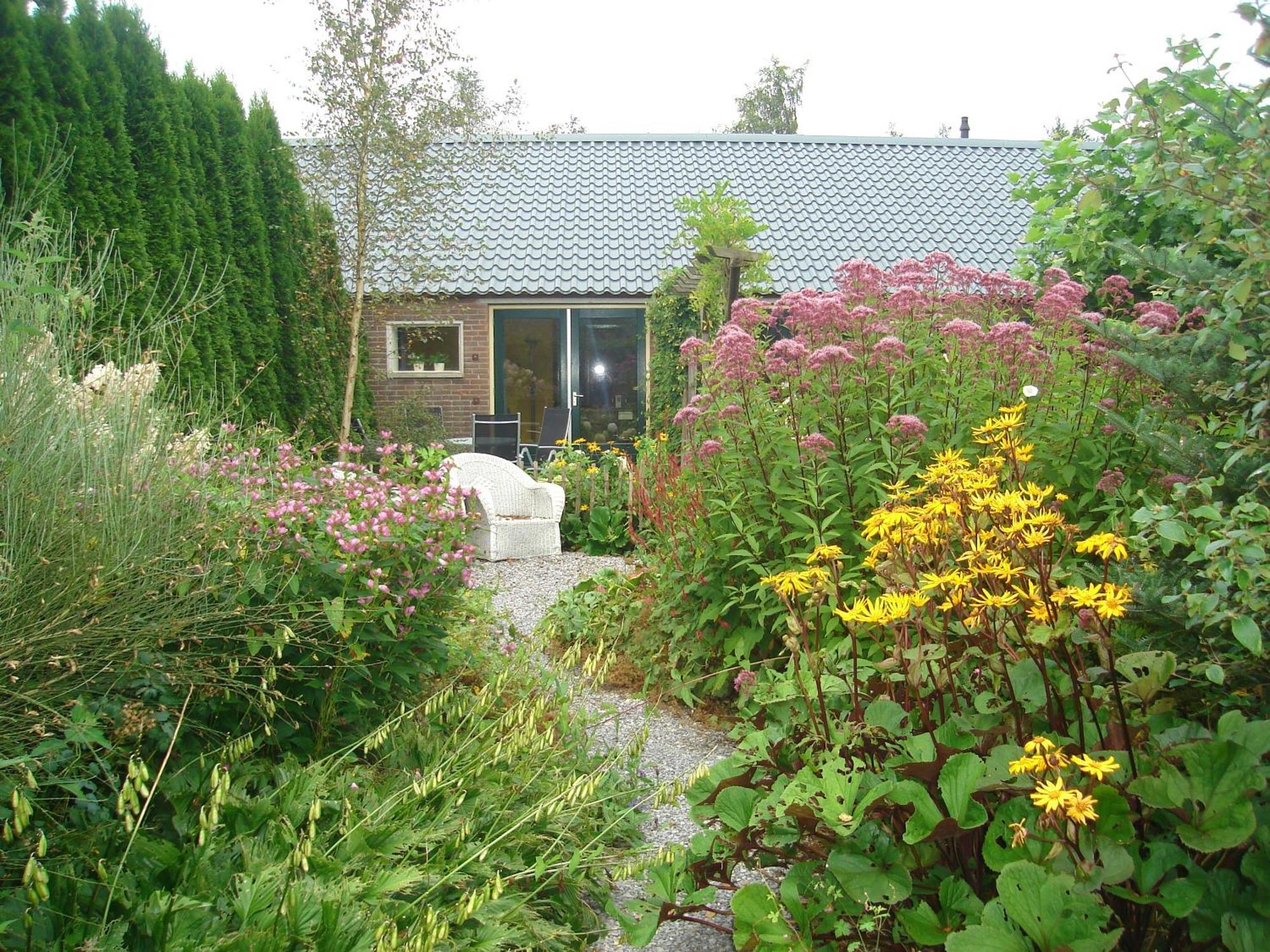 Roing B&B Hijken Esterno foto