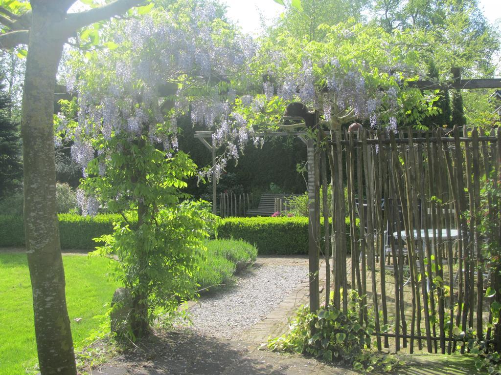 Roing B&B Hijken Esterno foto
